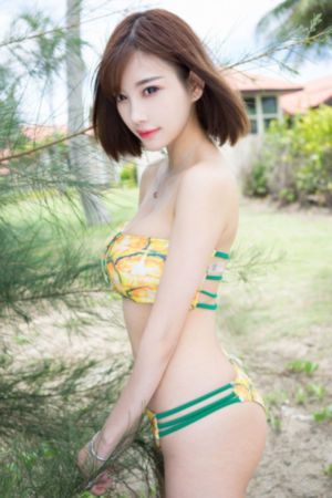 历史是一群喵动画全集