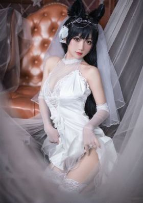 电视剧《蝶影》免费观看